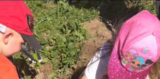 Preschool and Childcare coming to Tír na Sí Farm