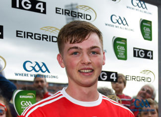 MLC Open Day this Sunday: official launch by Cathail O’Mahony