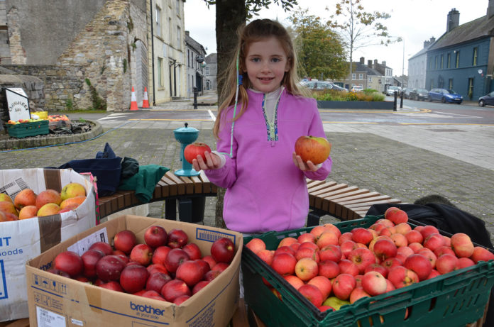 Kilworth Apple pressing 1 - web@19-10-2022-21:31:09.jpg