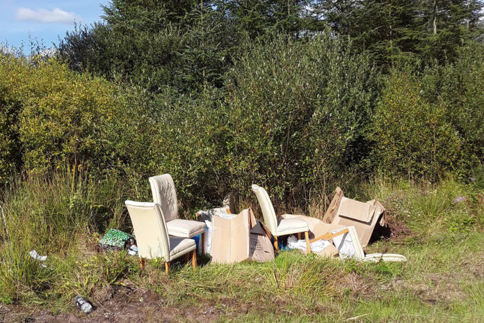 Dumping Kilworth Woods 1-web@02-11-2022-19:21:05.jpg