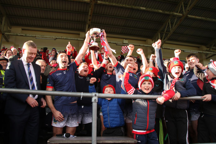 Ballygiblin Munster Junior Club Champions-web@07-12-2022-17:43:48.jpg