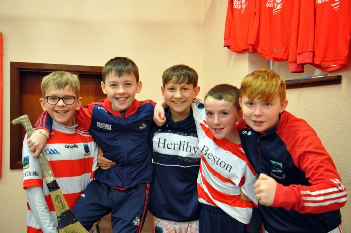 Ballygiblin NS 10-web@12-01-2023-11:04:02.jpg