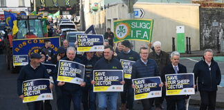 Sheep farmers in crisis – IFA protest calls on processors and the Minister to act