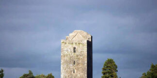 OPW’s reticence on Conna Castle criticised
