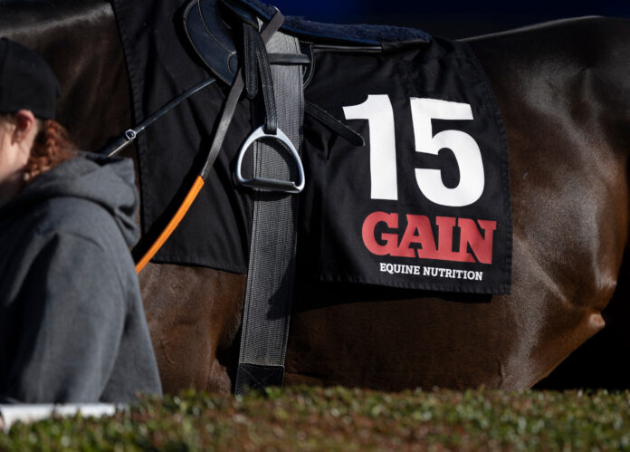 GAIN Nutrition - web