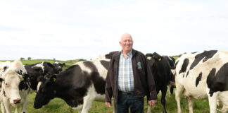 ICMSA say department’s ‘mixed messages’ hindering Dairy Beef Welfare Scheme
