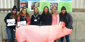 Ag Science students get a taste of farm life at Teagasc Research Centre