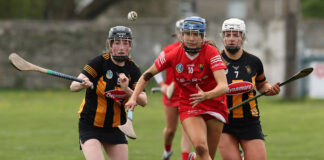 Clare bury ghost of semi-final but Cork and Kilkenny must do it all over again