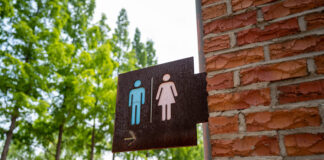 Summer toilets for Fermoy Town Park?