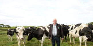 ICMSA say beef processors’ feedlot option threatens winter finishing