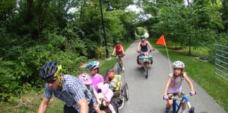IFA express fears over Greenway project