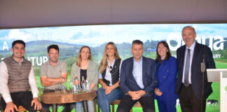 ‘Dairying’ open day draws thousands to Moorepark