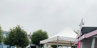 Claims casual traders are ‘detrimental’ to local business