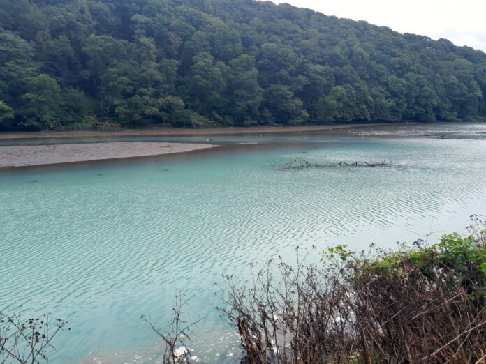 Water pollution Glashaboy River Cork@16-08-2023-18:45:21.jpg