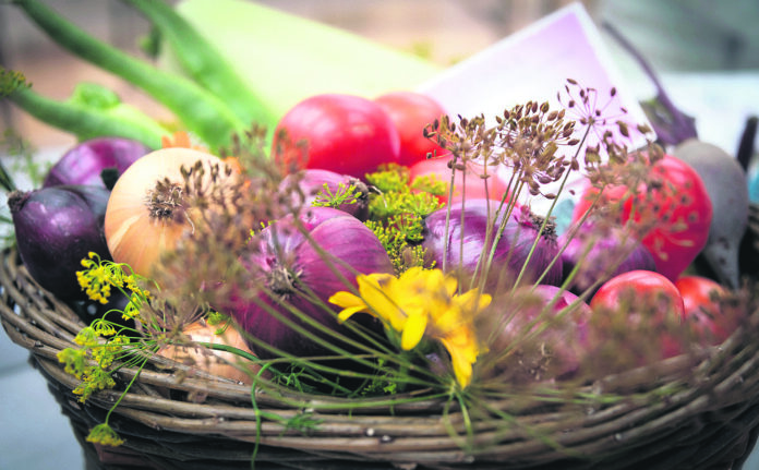 Prizewinning produce. at last year's Conna show.