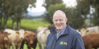 Once in a generation disaster year for tillage production – Gorman