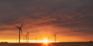 ‘Disappointment’ as wind farm granted permission
