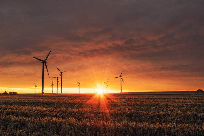 Wind Farm unsplash Web Stock@22-11-2023-14_35_27 copy