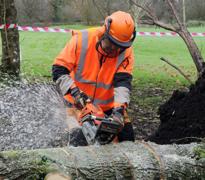 Chainsaw - safe use@23-01-2024-23_09_23-1 copy