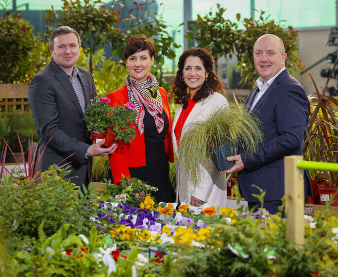 Bord Bia Bloom 2@13-02-2024-19_23_43 copy