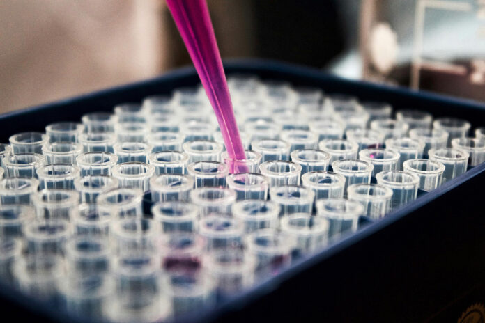 Microbioma Research-unsplash-web stock@27-02-2024-09_27_32 copy