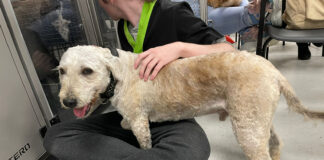 Couple convicted in ‘truly shocking’ animal cruelty case