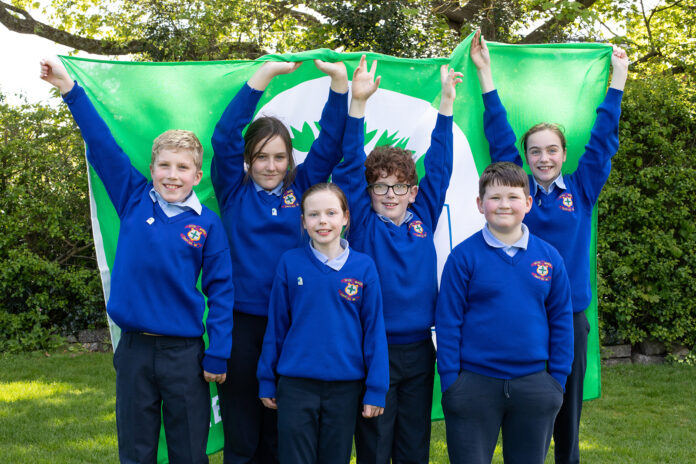 Green Schools Big Travel Challenge Winners 2023, St Brigids Meat
