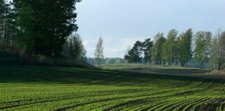 Empower farmers to advance carbon farming – MEP Kelly