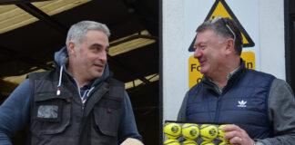 From yellow cards to yellow sliotars – hurling’s latest change