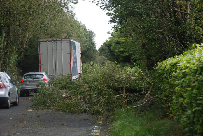 Storm Ellen N72 Trees@26-08-2020-11:25:07.jpg