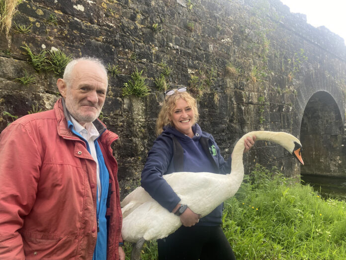 Dan Maguie Emma Turner Swan@14-05-2024-18_17_12 copy