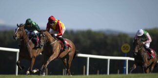 No ‘Fatal Flaw’ for Sweeney in Punchestown