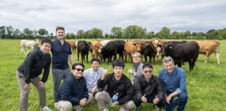 Korean beef buyers visit Irish farms and processors