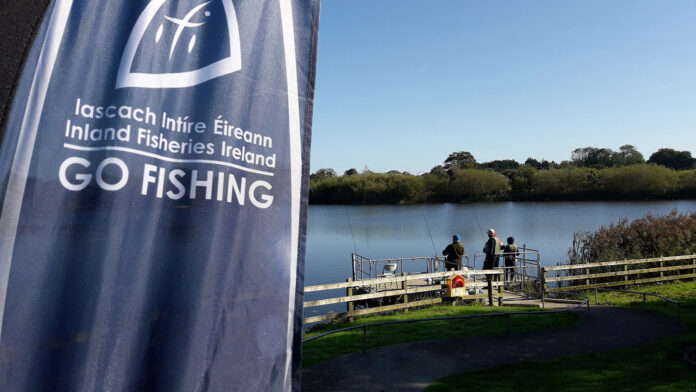 Go Fishing image-web