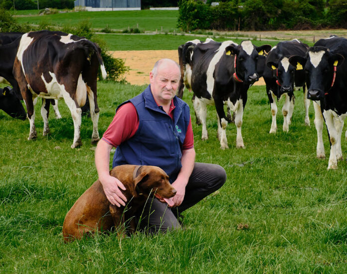 ICMSA Deputy President, Eamon Carroll, on his farm at Templemore, Co Tipp@29-08-2024-18_39_30.