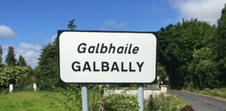 Silver medal for Galbally as TidyTowns back on track