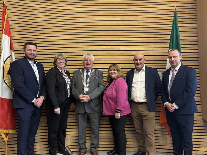 Cork County Council coopted councillors -web@31-12-2024-12:36:58.jpg