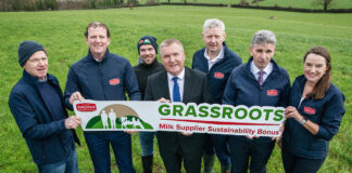 Dairygold increases sustainability bonus to offer up to €14 million per year to milk suppliers