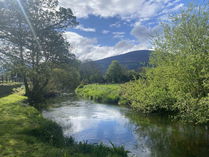 River Duag Clogheen@17-12-2024-11_27_34
