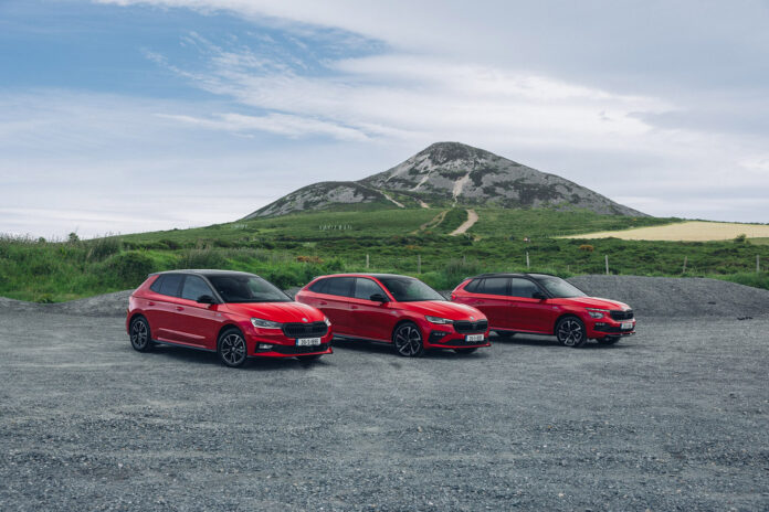 Skoda vehicles 2024 landscape