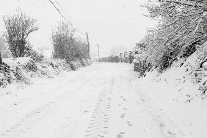 Ballylanders FB-web@08-01-2025-19:31:47.jpg
