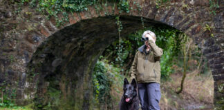 New recruitment drive for seasonal posts at IFI