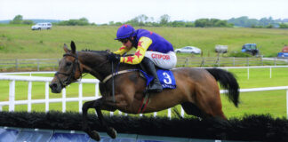 2025 heralds success for Mitchelstown owner