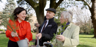 National Tree Week 2025 returns with calendar of activities