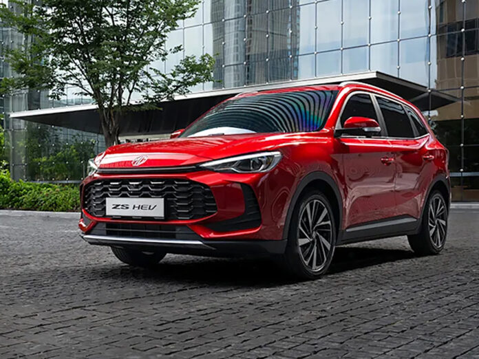 mg_zs_hybrid_19_
