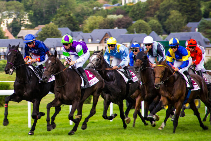 Horse Racing-philippe-oursel-3v7qofrkMXk-unsplash-Web Stock