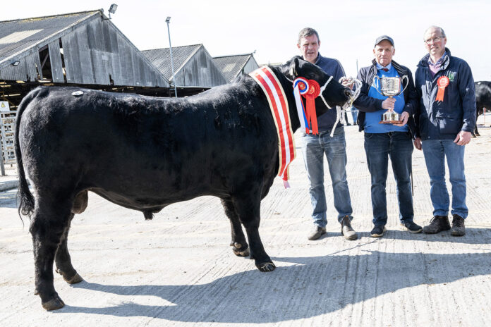 Munster Angus Breeders 1A-web@09-04-2025-15:03:48.jpg