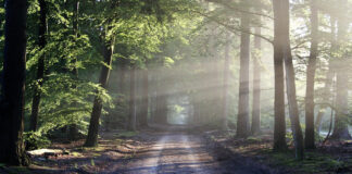 Yes, it’s possible to live on the road at any age