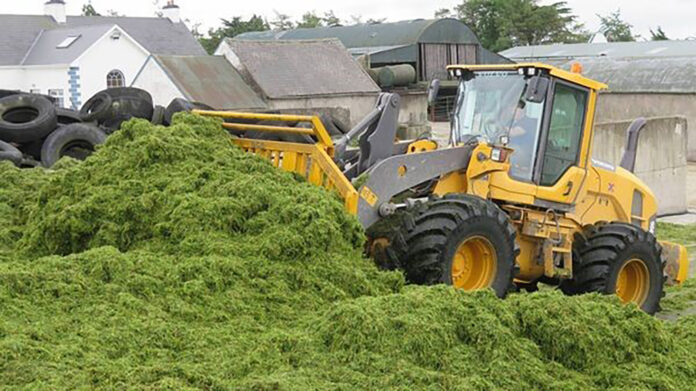 Silage Making@14-04-2025-10:28:45.jpg