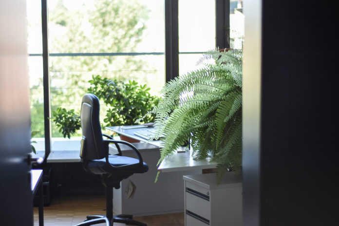 Workplace-wong-bXmfBgobSMI-unsplash-Web Stock@23-04-2025-18:16:28.jpg